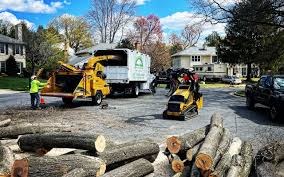 Best Seasonal Cleanup (Spring/Fall)  in Carthage, TX